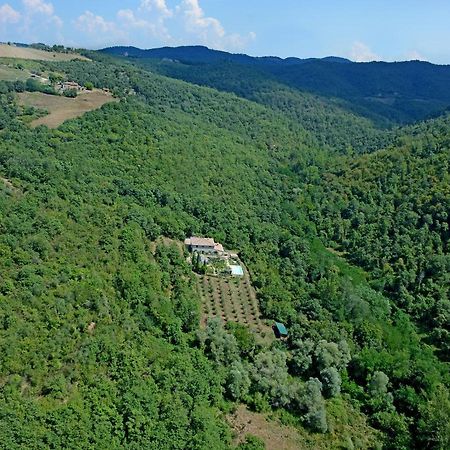 B&B Podere Il Colto Gaiole in Chianti Εξωτερικό φωτογραφία