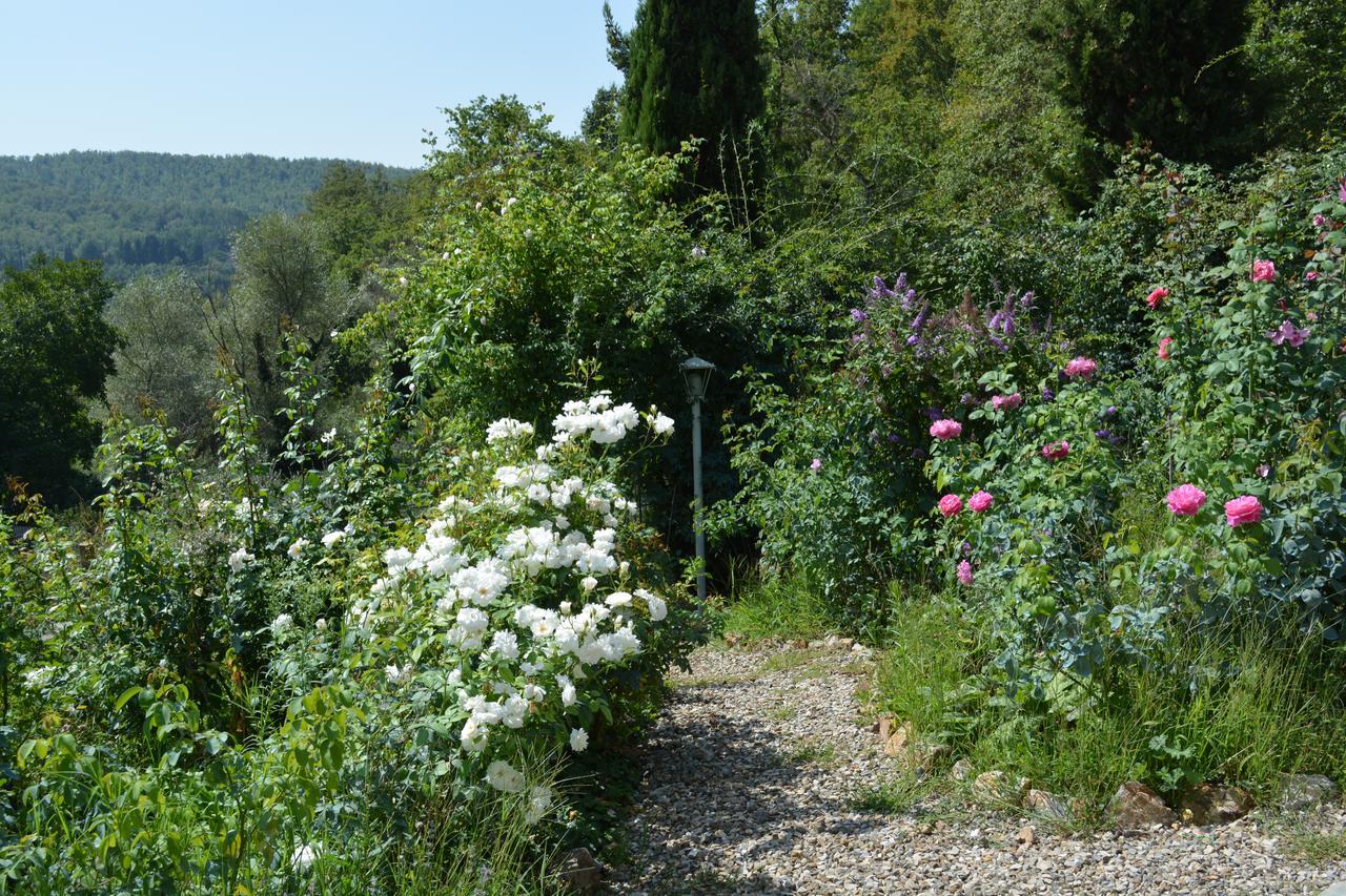 B&B Podere Il Colto Gaiole in Chianti Εξωτερικό φωτογραφία