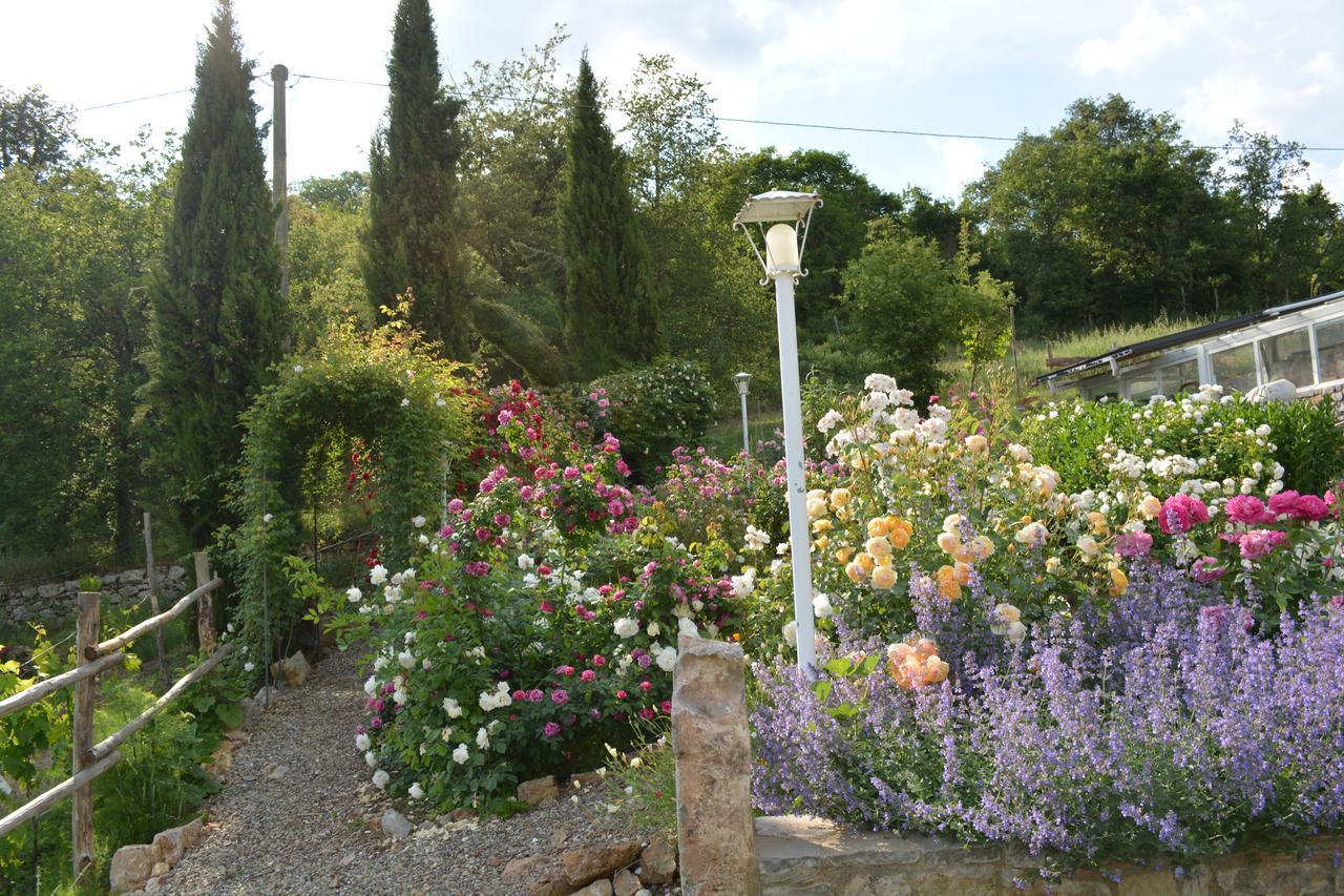 B&B Podere Il Colto Gaiole in Chianti Εξωτερικό φωτογραφία