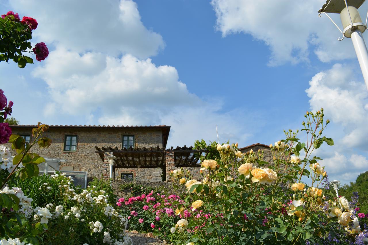 B&B Podere Il Colto Gaiole in Chianti Εξωτερικό φωτογραφία